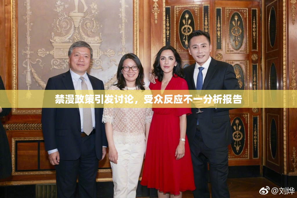 禁漫政策引发讨论，受众反应不一分析报告