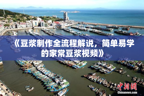 《豆浆制作全流程解说，简单易学的家常豆浆视频》