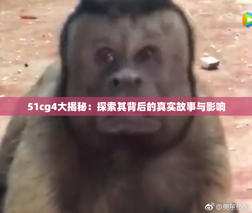 51cg4大揭秘：探索其背后的真实故事与影响