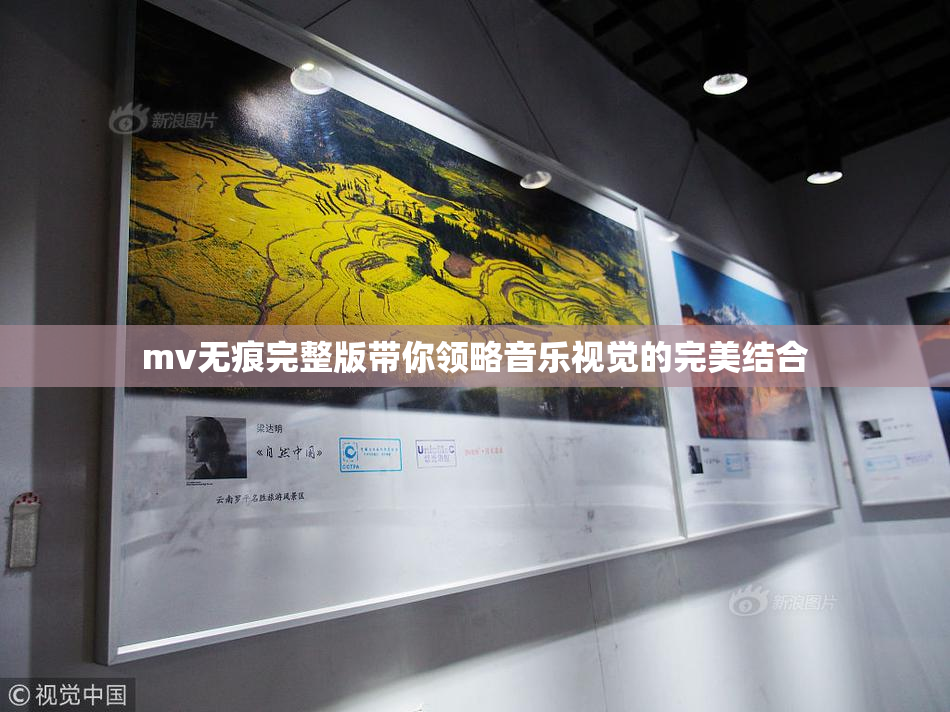 mv无痕完整版带你领略音乐视觉的完美结合