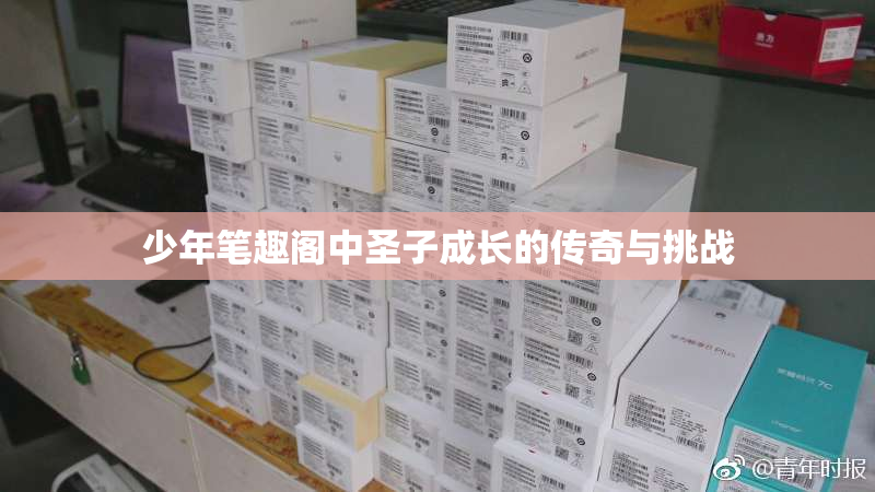 少年笔趣阁中圣子成长的传奇与挑战
