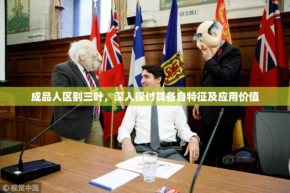 成品人区别三叶，深入探讨其各自特征及应用价值