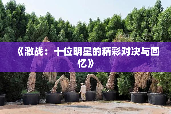 《激战：十位明星的精彩对决与回忆》
