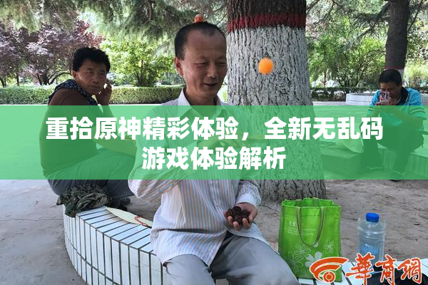 重拾原神精彩体验，全新无乱码游戏体验解析