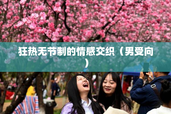 狂热无节制的情感交织（男受向）
