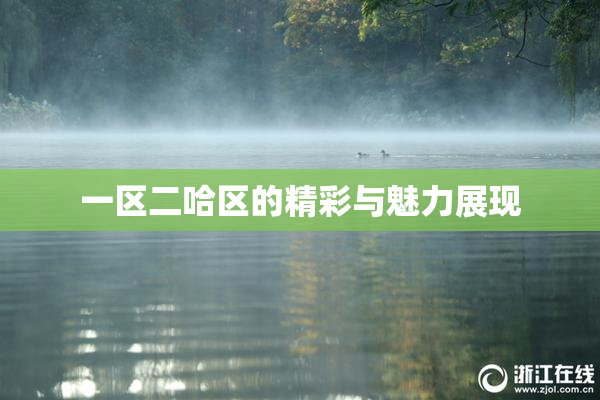 一区二哈区的精彩与魅力展现