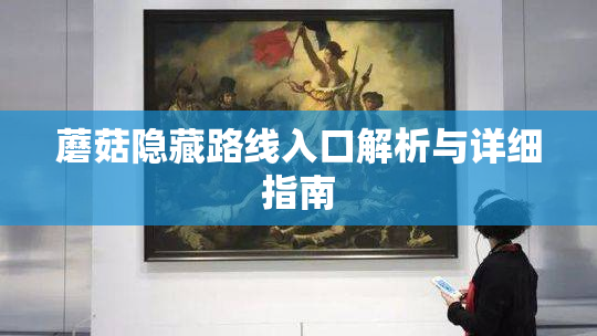 蘑菇隐藏路线入口解析与详细指南