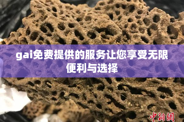 gai免费提供的服务让您享受无限便利与选择