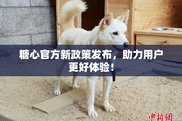 糖心官方新政策发布，助力用户更好体验！