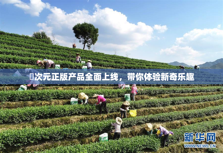 囧次元正版产品全面上线，带你体验新奇乐趣