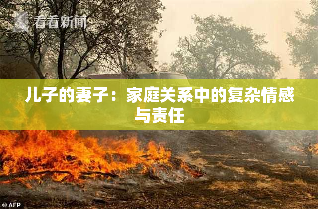 儿子的妻子：家庭关系中的复杂情感与责任