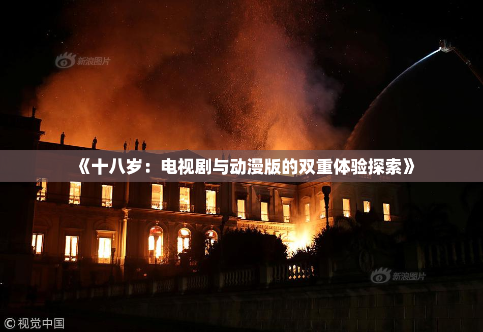 《十八岁：电视剧与动漫版的双重体验探索》