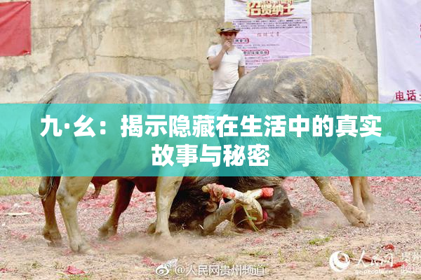 九·幺：揭示隐藏在生活中的真实故事与秘密