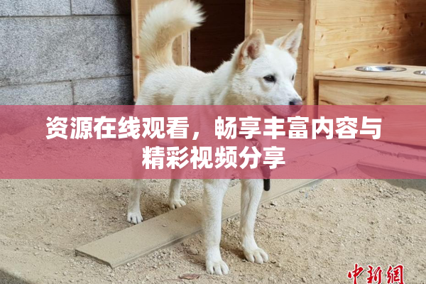资源在线观看，畅享丰富内容与精彩视频分享