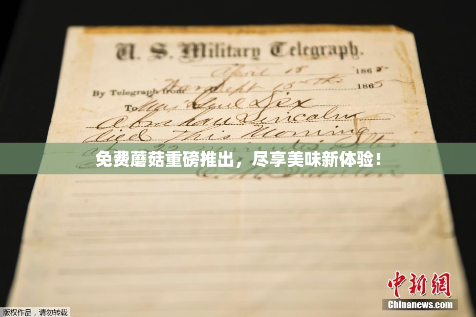 免费蘑菇重磅推出，尽享美味新体验！