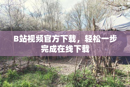 B站视频官方下载，轻松一步完成在线下载