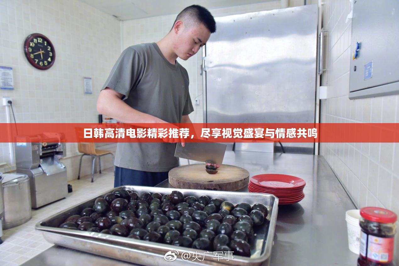日韩高清电影精彩推荐，尽享视觉盛宴与情感共鸣