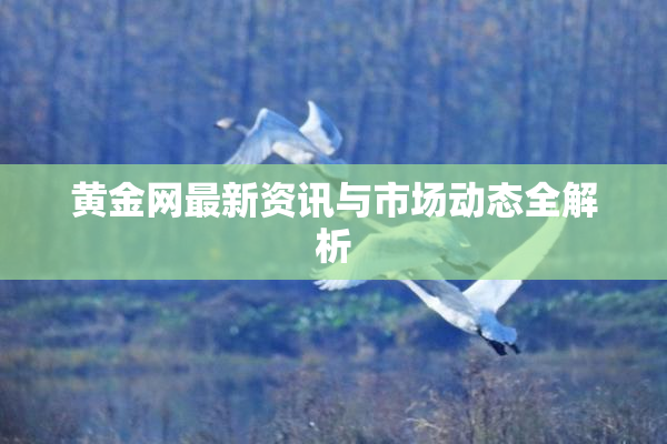 黄金网最新资讯与市场动态全解析