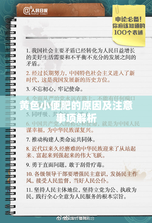 黄色小便肥的原因及注意事项解析