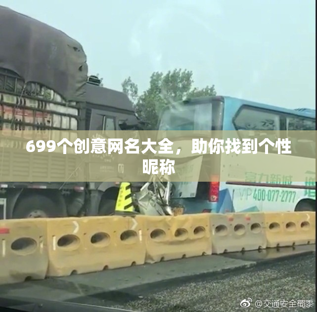 699个创意网名大全，助你找到个性昵称