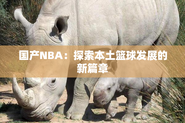 国产NBA：探索本土篮球发展的新篇章
