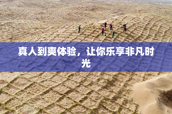 真人到爽体验，让你乐享非凡时光