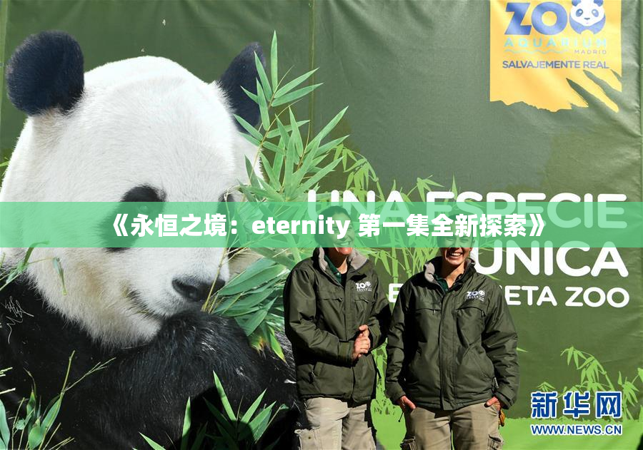 《永恒之境：eternity 第一集全新探索》
