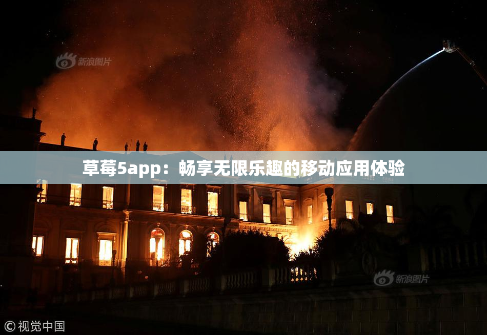草莓5app：畅享无限乐趣的移动应用体验
