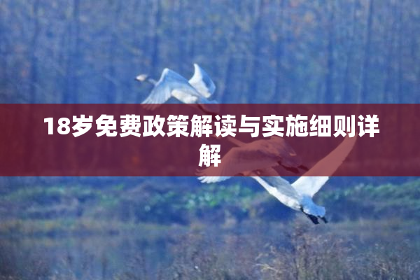 18岁免费政策解读与实施细则详解
