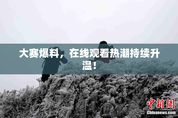 大赛爆料，在线观看热潮持续升温！
