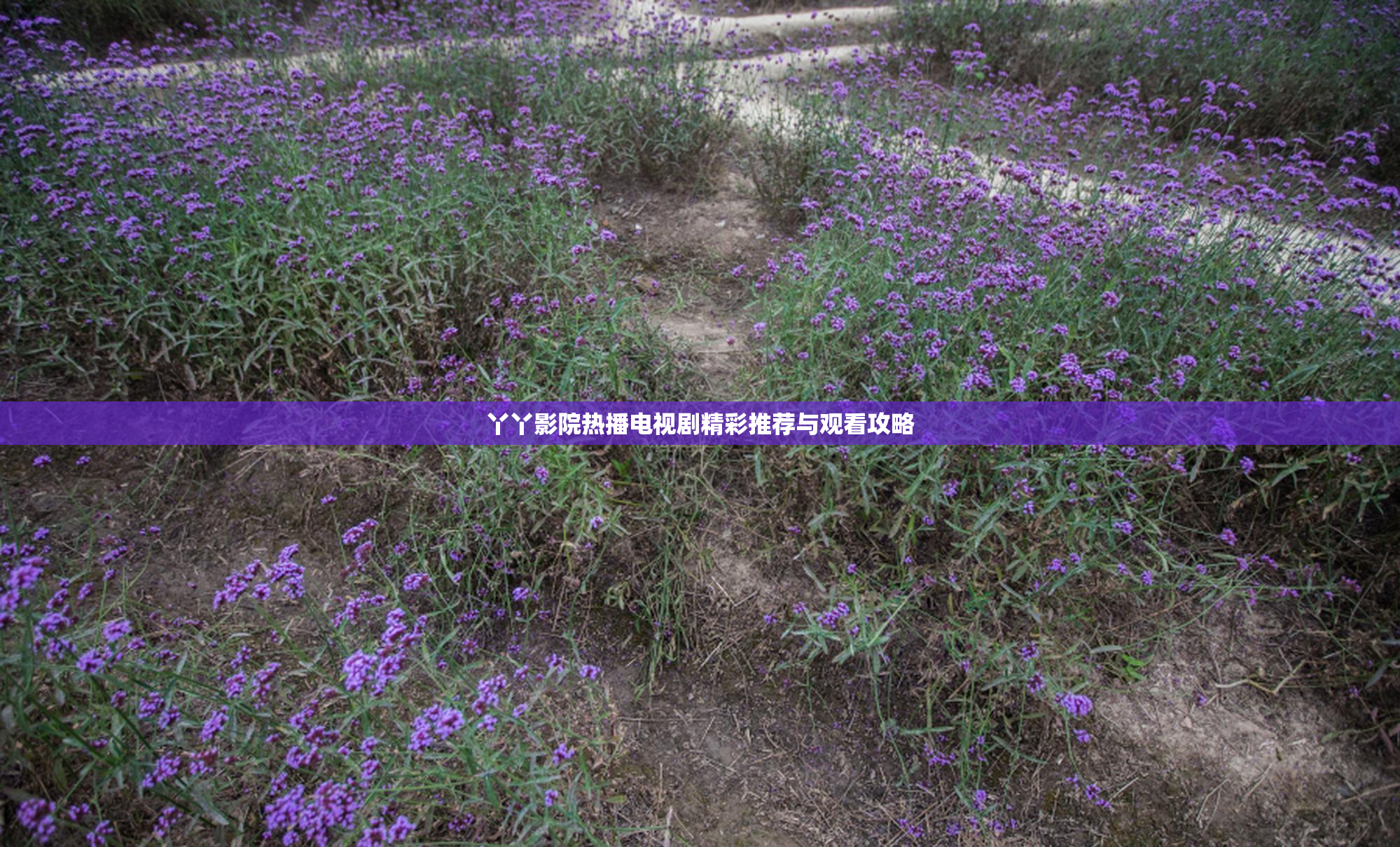 丫丫影院热播电视剧精彩推荐与观看攻略