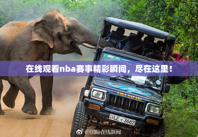 在线观看nba赛事精彩瞬间，尽在这里！