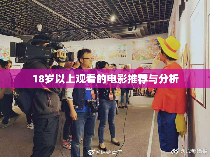 18岁以上观看的电影推荐与分析