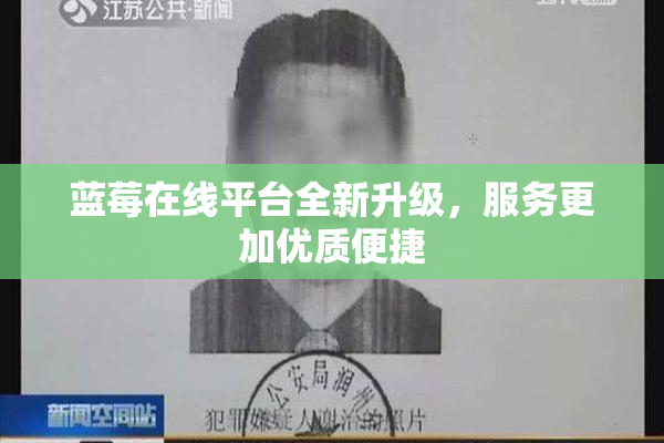 蓝莓在线平台全新升级，服务更加优质便捷