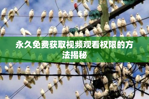永久免费获取视频观看权限的方法揭秘
