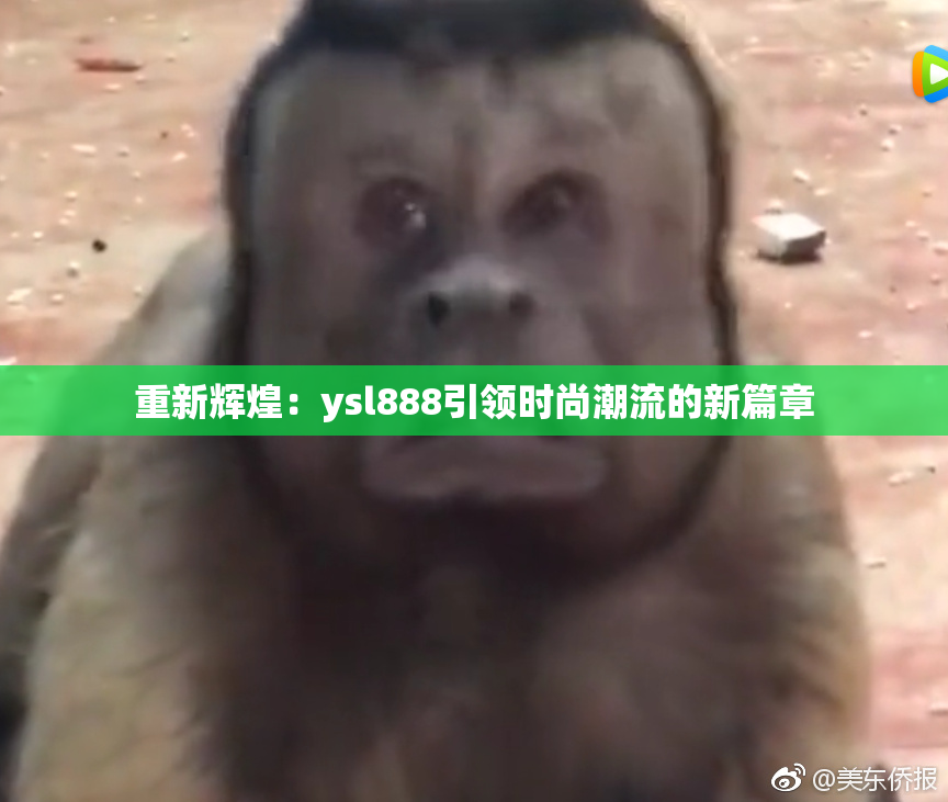 重新辉煌：ysl888引领时尚潮流的新篇章