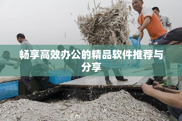 畅享高效办公的精品软件推荐与分享