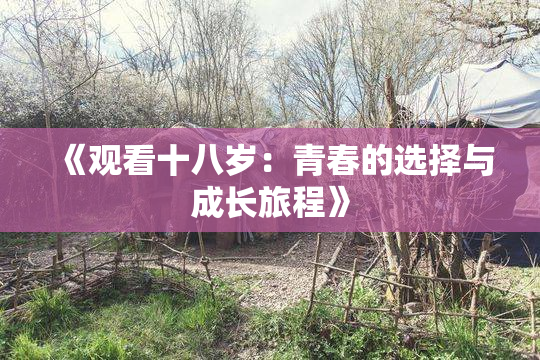 《观看十八岁：青春的选择与成长旅程》