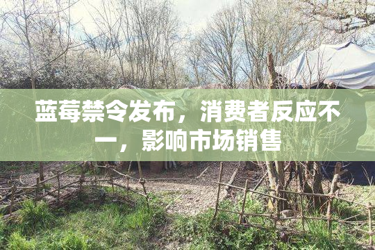 蓝莓禁令发布，消费者反应不一，影响市场销售