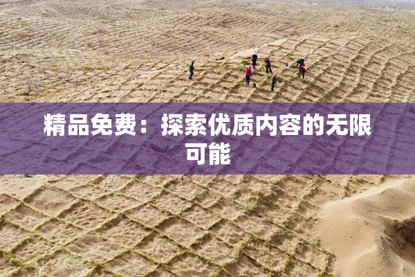 精品免费：探索优质内容的无限可能