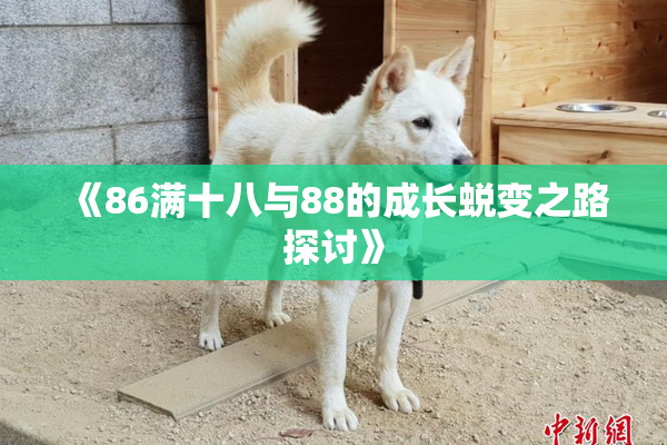 《86满十八与88的成长蜕变之路探讨》