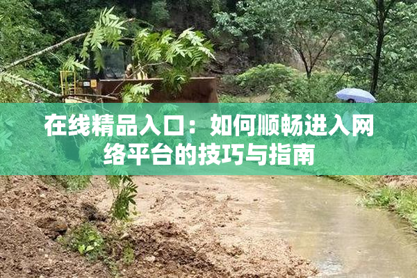 在线精品入口：如何顺畅进入网络平台的技巧与指南