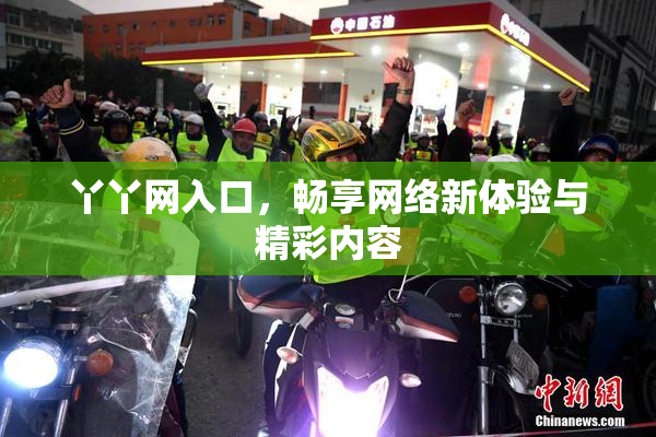 丫丫网入口，畅享网络新体验与精彩内容