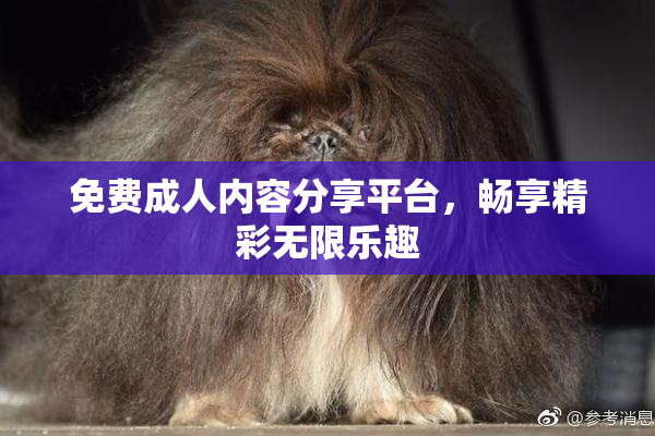 免费成人内容分享平台，畅享精彩无限乐趣