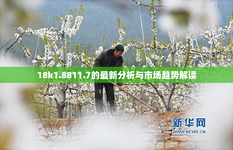 18k1.8811.7的最新分析与市场趋势解读