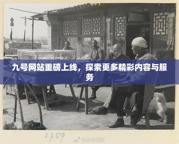 九号网站重磅上线，探索更多精彩内容与服务