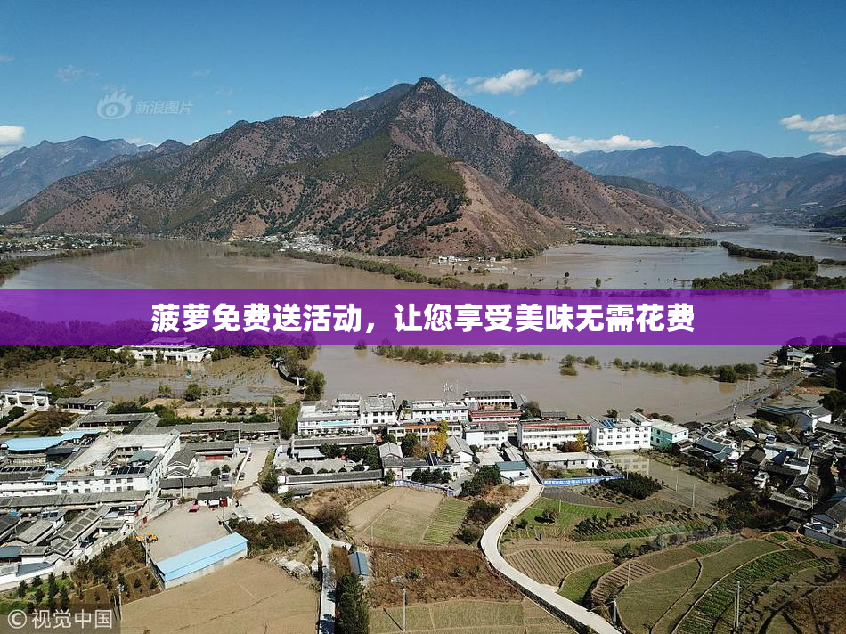 菠萝免费送活动，让您享受美味无需花费