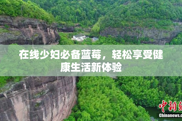 在线少妇必备蓝莓，轻松享受健康生活新体验