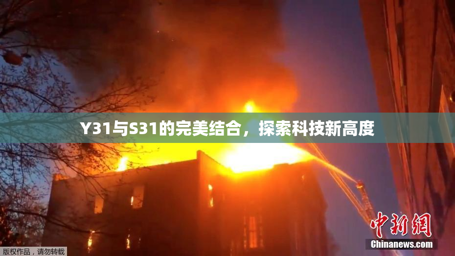 Y31与S31的完美结合，探索科技新高度