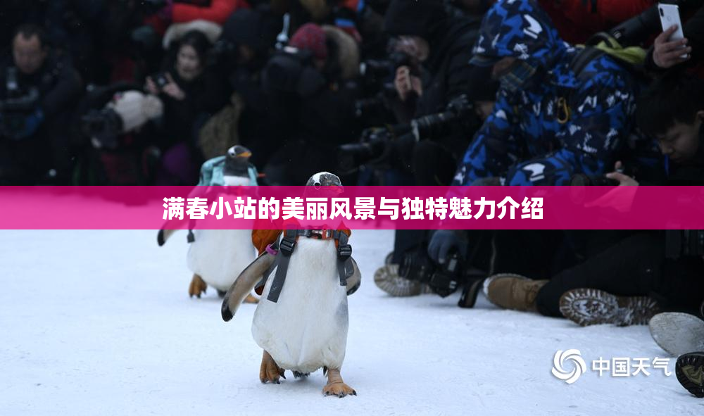 满春小站的美丽风景与独特魅力介绍